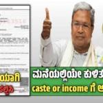 Caste or income application