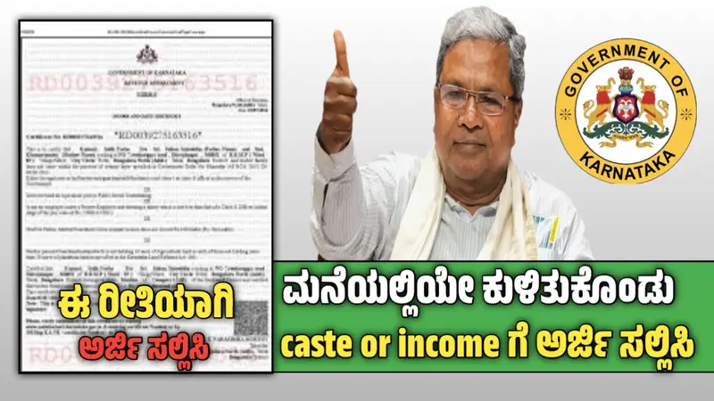 Caste or income application